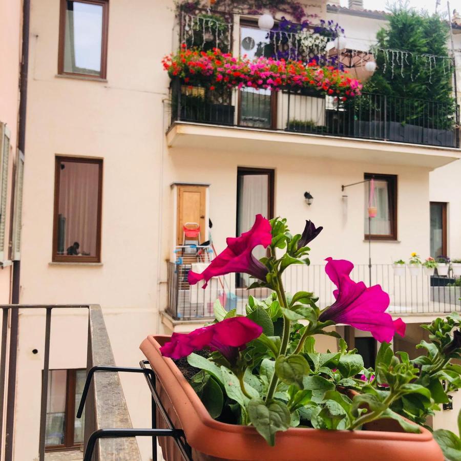 アヴィリアーナ Casa Conte Rossoホステル エクステリア 写真